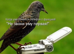 Звонить ему или не звонить… Вам решать! Телефон Ринет можно и вовсе забыть – сам наберет